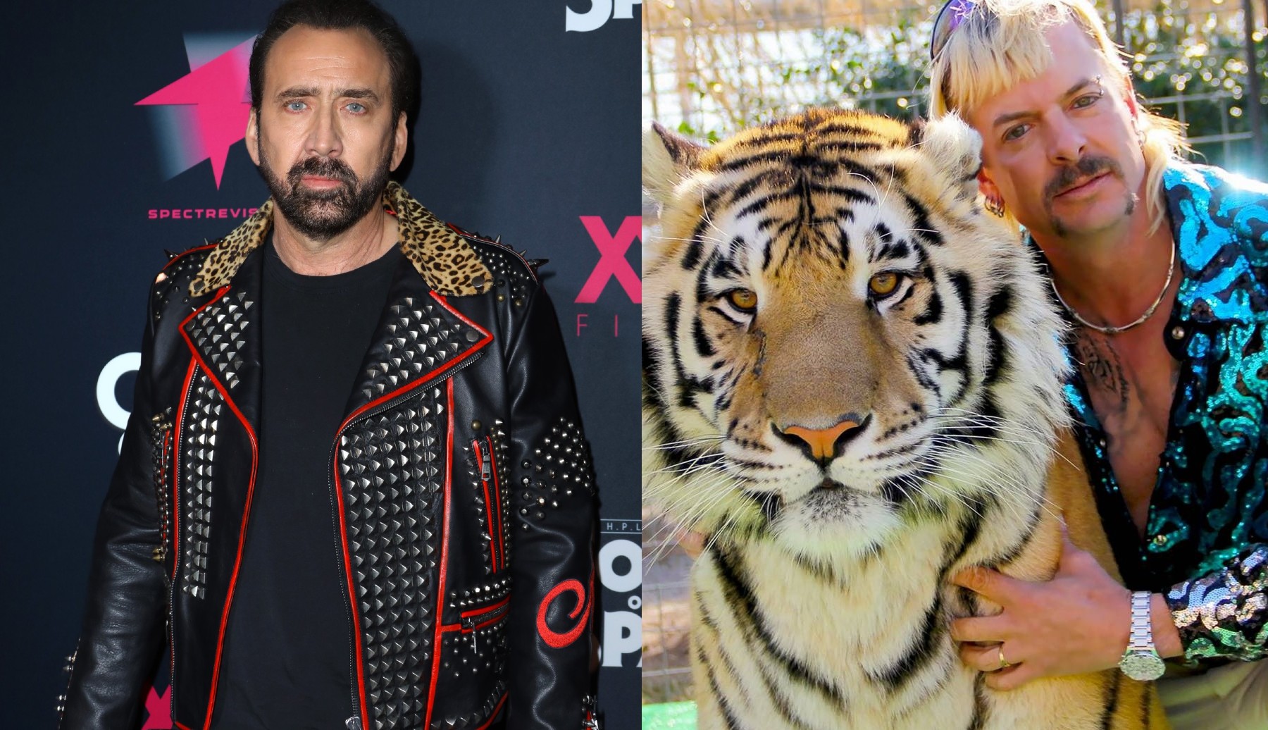 Nicolas Cage ma zagrać Joe Exotica w serialu fabularnym na podstawie „Tiger King”